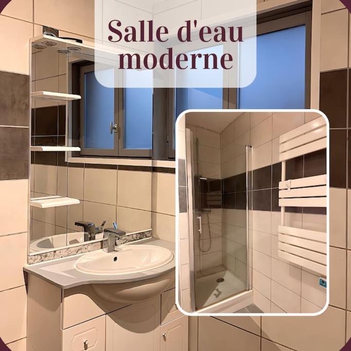 Appartement 2 Pieces Rdc En Duplex Vue Cour Parking Gratuit A 20Metres Roanne Exterior photo